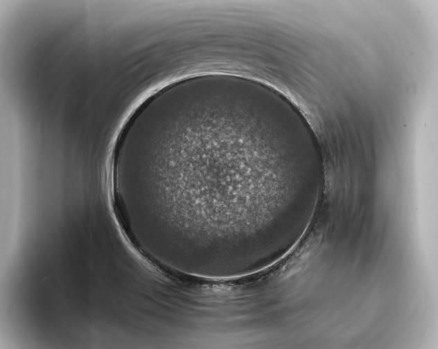 X0000094341515200711021441