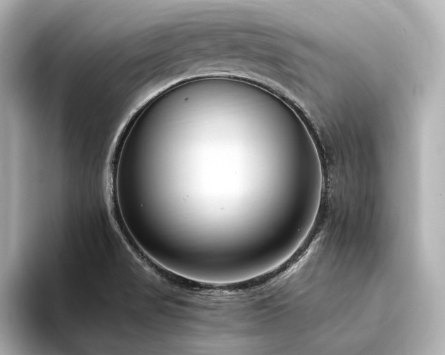 X0000094341517200711021441