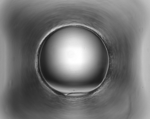 X0000094341518200711021441
