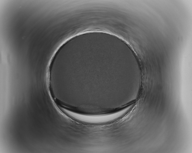 X0000094341519200711021441