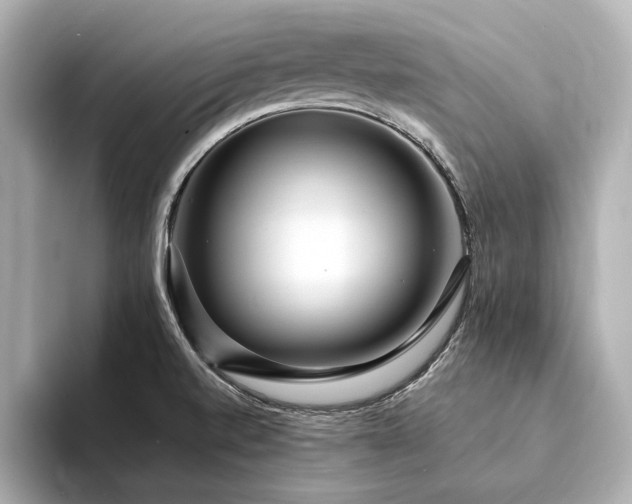 X0000094341520200711021441