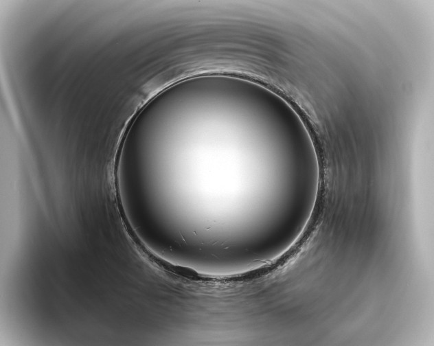 X0000094341521200711021441