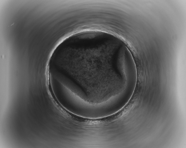 X0000094341522200711021441