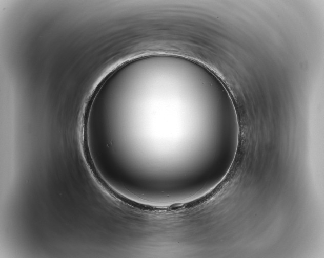 X0000094341523200711021441