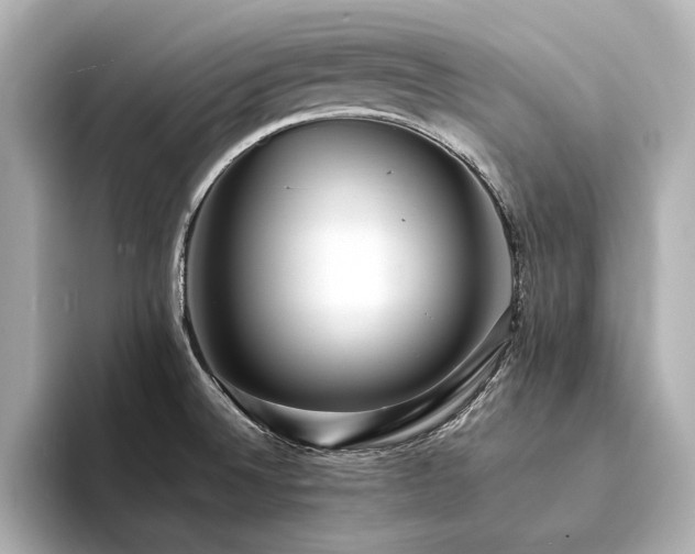 X0000094341524200711021441