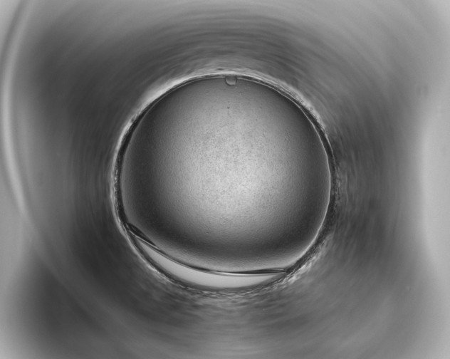 X0000094341525200711021441
