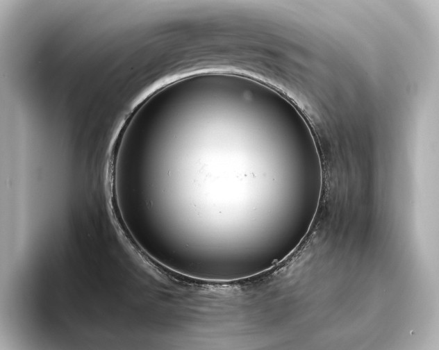 X0000094341526200711021441