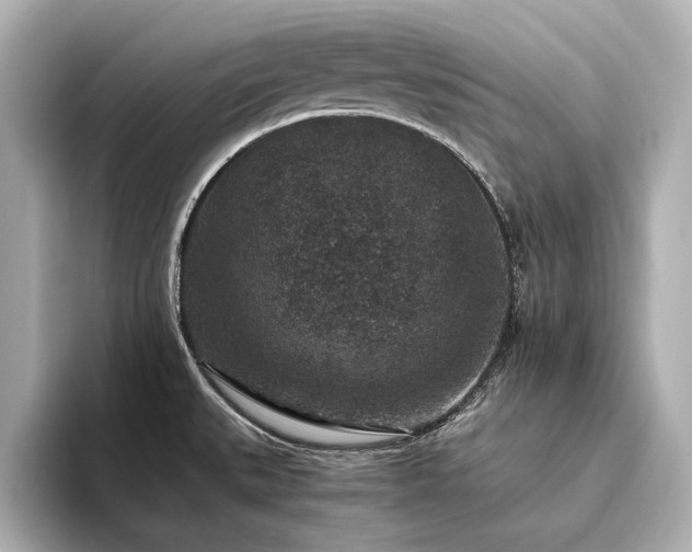 X0000094341527200711021442