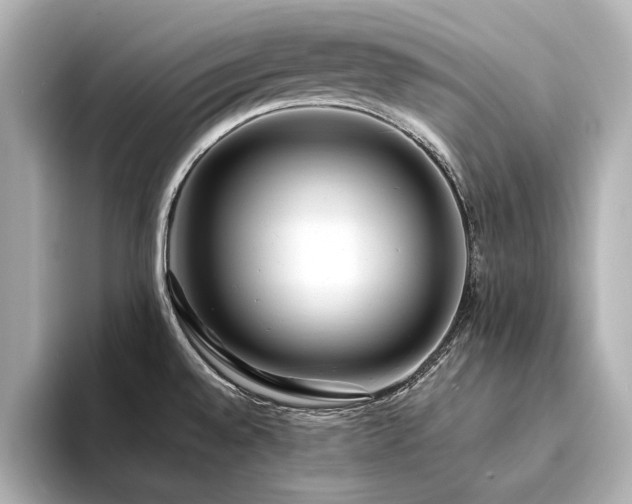 X0000094341528200711021442