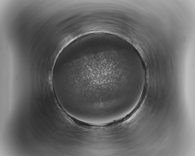 X0000094341529200711021442
