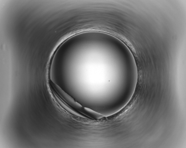 X0000094341530200711021442