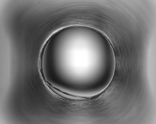 X0000094341531200711021442