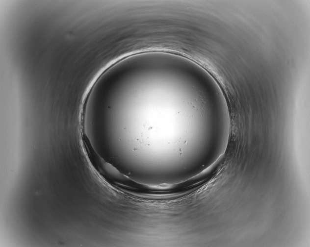 X0000094341532200711021442