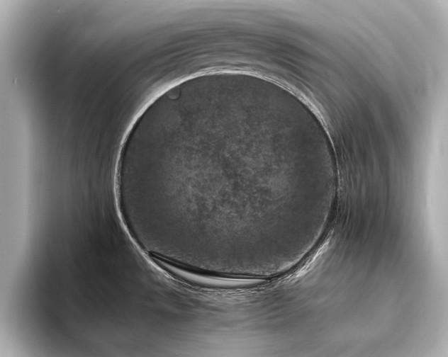 X0000094341533200711021442