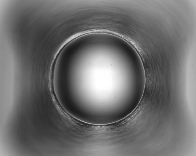 X0000094341534200711021442