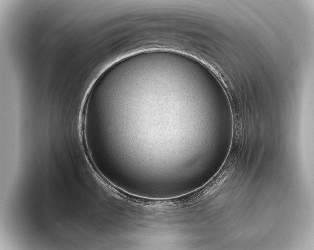 X0000094341535200711021442