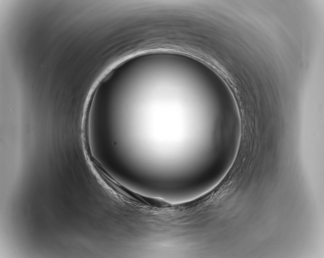 X0000094341536200711021442