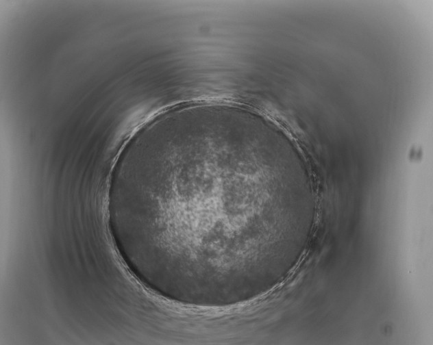 X0000094340002200711091439