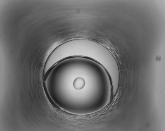 X0000094340003200711091439