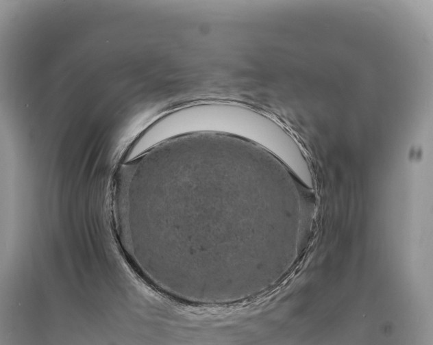 X0000094340005200711091439
