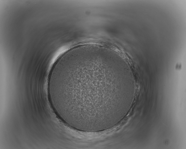 X0000094340006200711091439