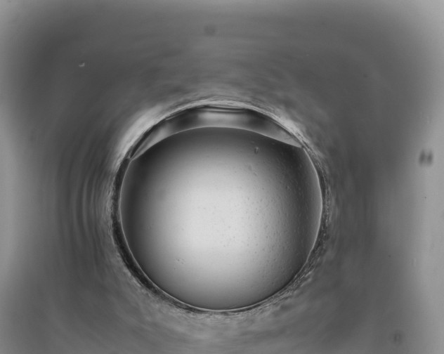 X0000094340007200711091439