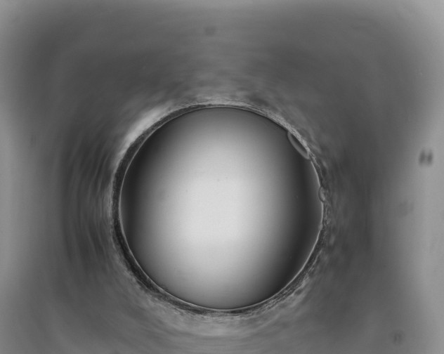 X0000094340008200711091439