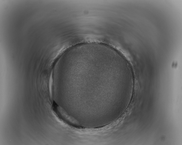 X0000094340009200711091439