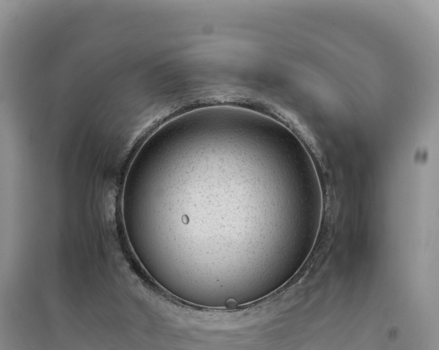 X0000094340010200711091439