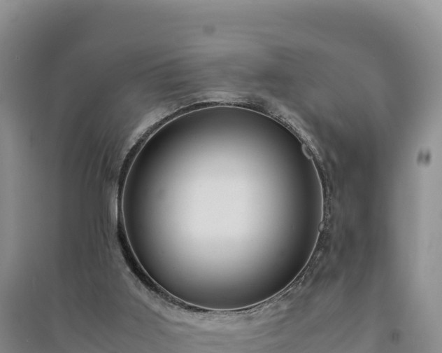 X0000094340011200711091439