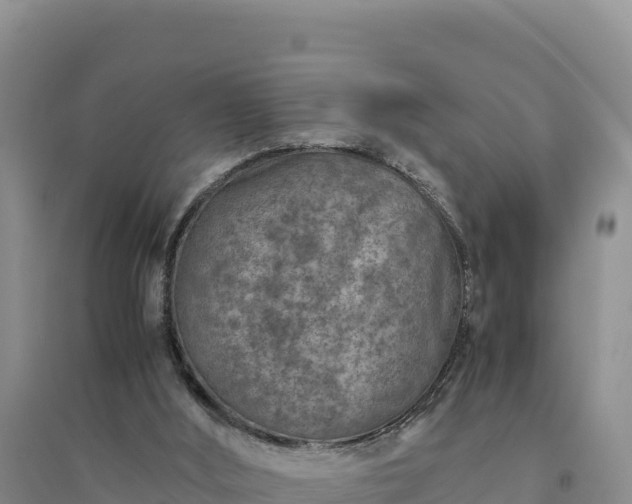 X0000094340012200711091439