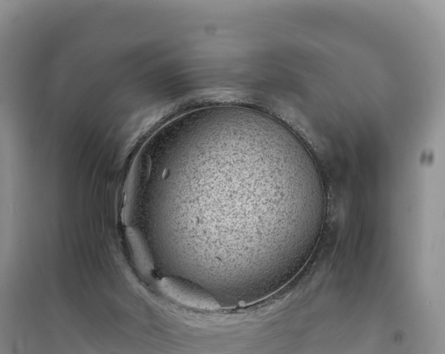X0000094340014200711091439