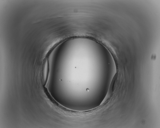 X0000094340015200711091439