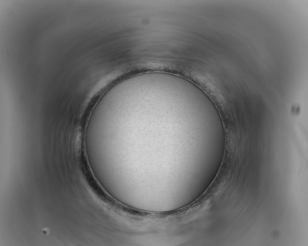 X0000094340016200711091439