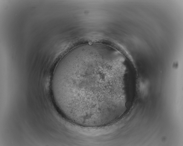 X0000094340018200711091439