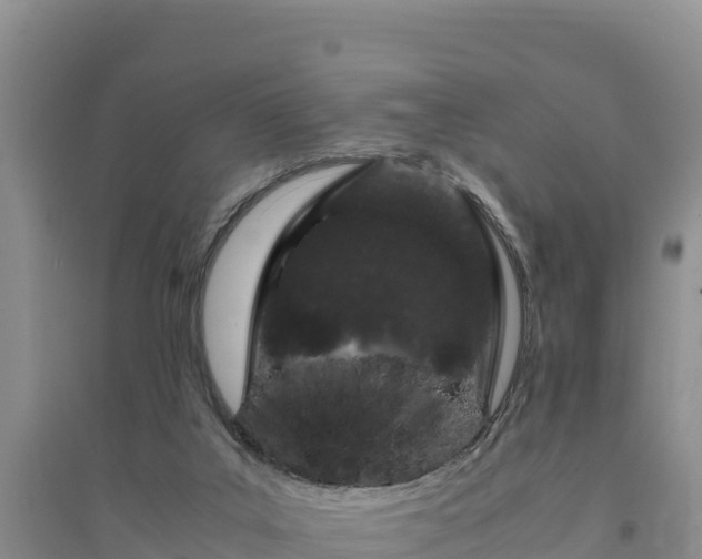X0000094340019200711091439