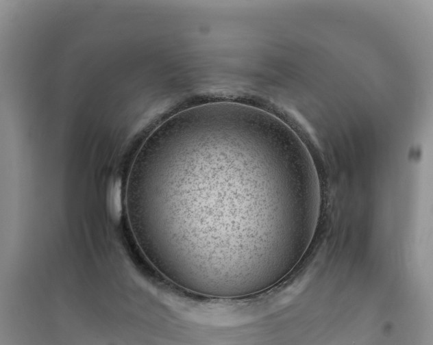 X0000094340020200711091439