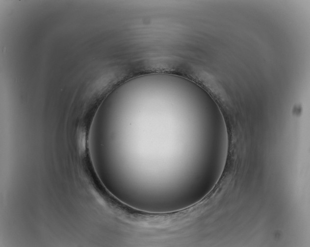 X0000094340021200711091439