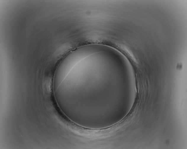 X0000094340023200711091439