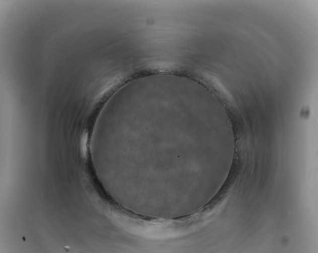 X0000094340024200711091439