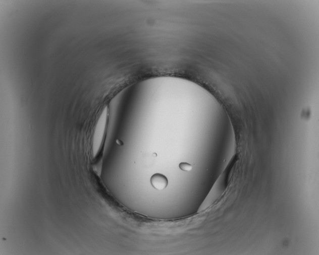 X0000094340025200711091439