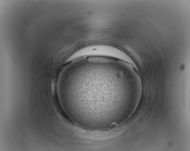 X0000094340026200711091439
