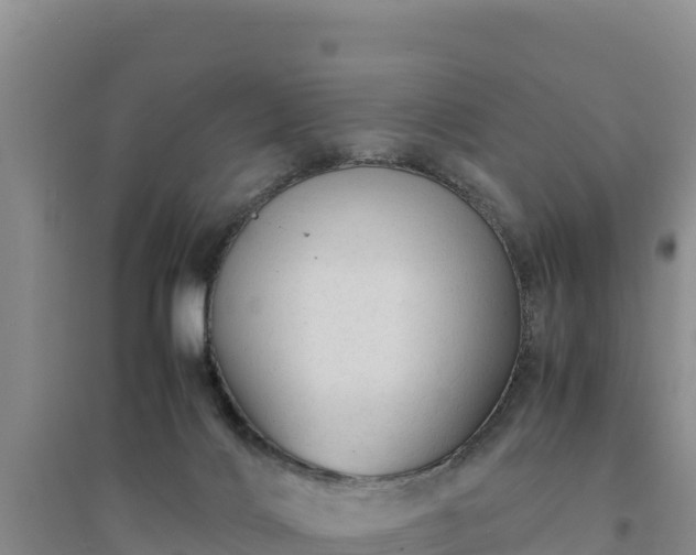 X0000094340028200711091439