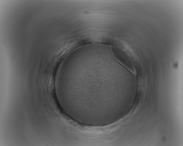 X0000094340029200711091439