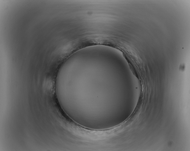 X0000094340031200711091439