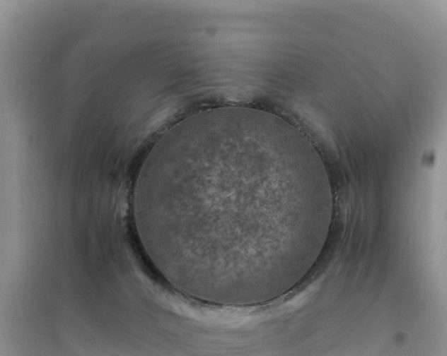 X0000094340032200711091439