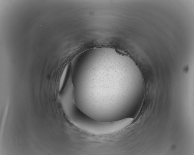 X0000094340033200711091439