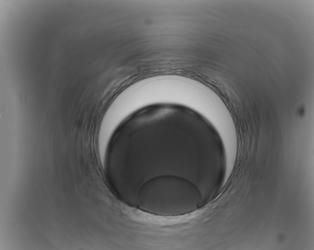 X0000094340035200711091439