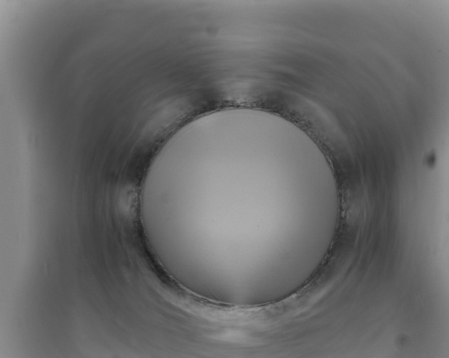 X0000094340036200711091439