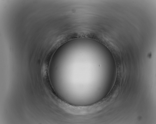 X0000094340038200711091439